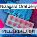 Nizagara Oral Jelly new14